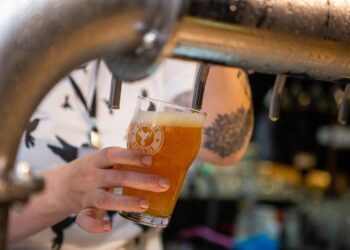 Multipremiada, Cervejaria Stannis planeja conquistar SC e o Brasil