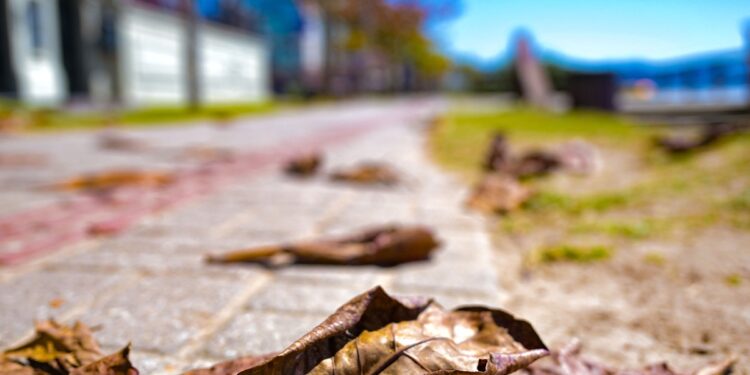 Outono começa com previsão de temperaturas acima da média em Santa Catarina