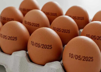Governo suspende determinação de carimbar data de validade em ovos