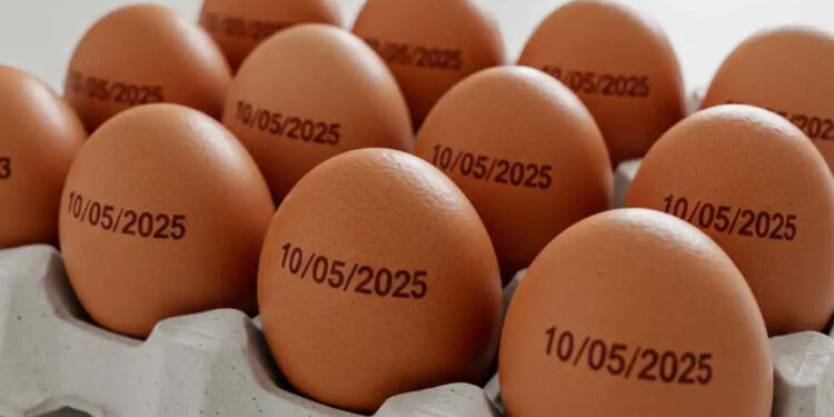 Governo suspende determinação de carimbar data de validade em ovos