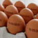 Governo suspende determinação de carimbar data de validade em ovos
