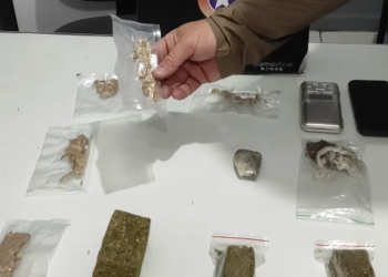 [Vídeo] PM prende traficante com cogumelos psicotrópicos em Jaraguá do Sul