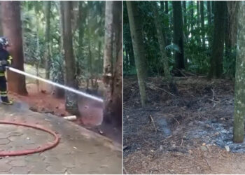 [Vídeo] Foco de incêndio é combatido no Parque Malwee