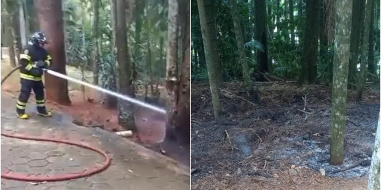 [Vídeo] Foco de incêndio é combatido no Parque Malwee