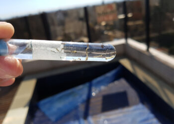 Jaraguá do Sul tem 33 localidades infestadas pelo mosquito da dengue