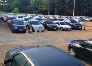 Prefeitura de Jaraguá do Sul arrecada mais de R$ 300 mil em leilão de veículos