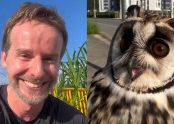 Biólogo de Jaraguá do Sul salva coruja presa em fio de pipa e se emociona