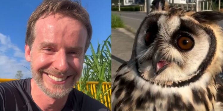 Biólogo de Jaraguá do Sul salva coruja presa em fio de pipa e se emociona