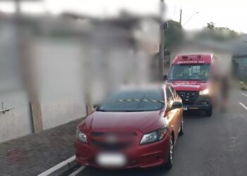 Criança de 3 anos morre ao ser esquecida dentro de carro em SC