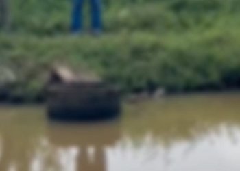 Urgente: Corpo de homem é encontrado dentro de lagoa em Jaraguá do Sul