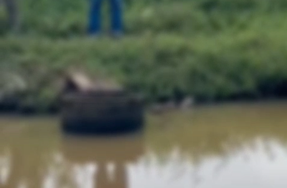 Urgente: Corpo de homem é encontrado dentro de lagoa em Jaraguá do Sul