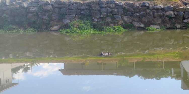 Corpo é encontrado no rio em Jaraguá do Sul