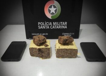 “Pro meu consumo”: Homem é pego com 500 gramas de maconha em Jaraguá do Sul