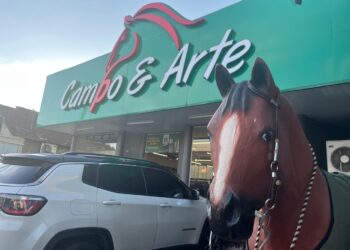 Campo & Arte completa 10 anos com comemoração especial neste sábado (07)