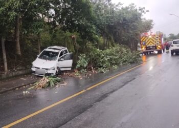 Carro colide em árvores após saída de pista em Jaraguá do Sul