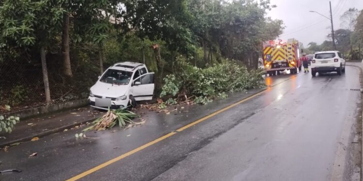 Carro colide em árvores após saída de pista em Jaraguá do Sul