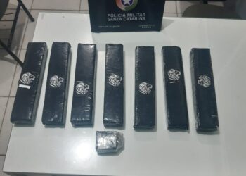 “6 kg de maconha”: PMs prendem casal por tráfico em Guaramirim