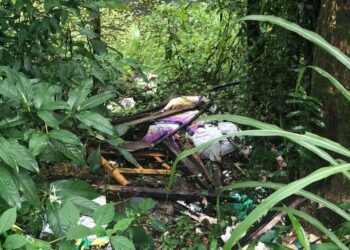 Descarte irregular de lixo em SC pode gerar multa de R$ 500