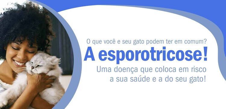 Esporotricose: O que você precisa saber sobre a doença que pode infectar animais e humanos