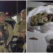 “Enterrou maconha”: Homem é preso por tráfico de drogas em Jaraguá do Sul
