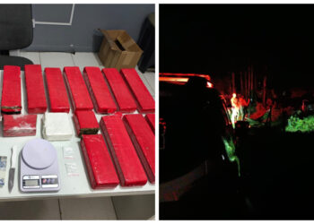 [Fotos] Polícia apreende 15kg de maconha em Schroeder e detém duas pessoas