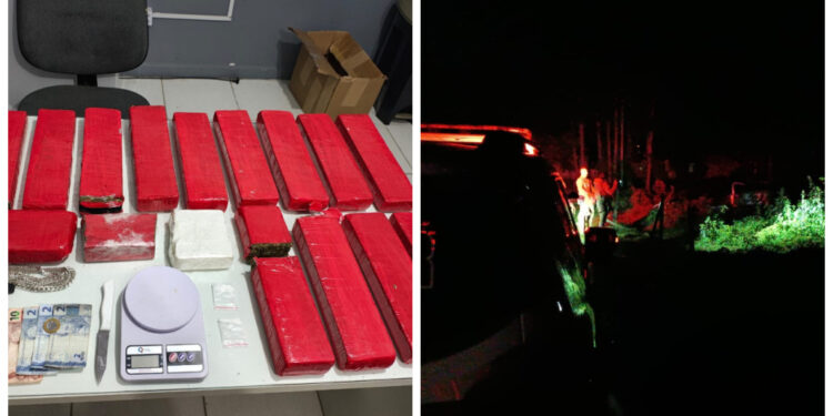 [Fotos] Polícia apreende 15kg de maconha em Schroeder e detém duas pessoas