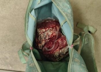 Homem é preso após furtar carnes de mercado em Guaramirim