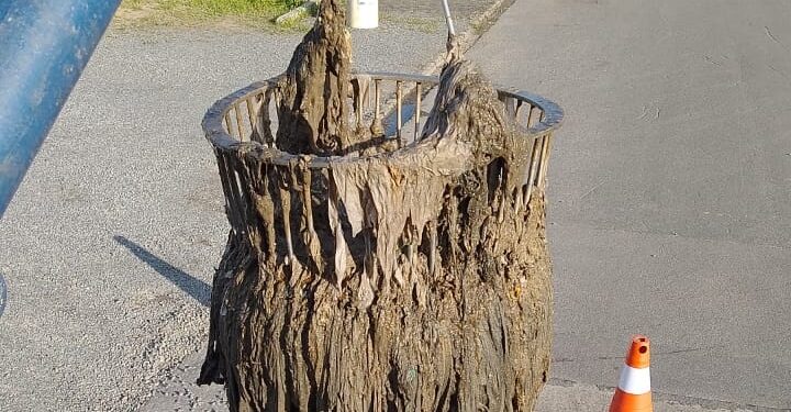 Samae orienta sobre os riscos do descarte de resíduos na rede de esgoto