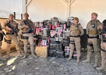 Caminhão carregado com 3,7 toneladas de maconha é interceptado na SC-108, em Massaranduba