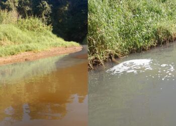 Contaminação no rio interrompe captação de água em Guaramirim pela segunda semana seguida