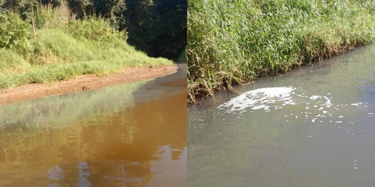 Contaminação no rio interrompe captação de água em Guaramirim pela segunda semana seguida