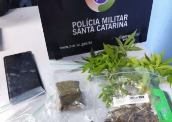 Adolescente mantinha dez pés e 17 sementes de maconha em Jaraguá do Sul