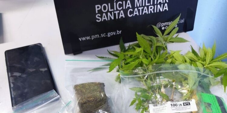 Adolescente mantinha dez pés e 17 sementes de maconha em Jaraguá do Sul