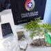 Adolescente mantinha dez pés e 17 sementes de maconha em Jaraguá do Sul