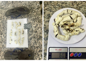 “Pro filho fumar”: Mulher é presa tentando entrar com fumo no Presídio de Jaraguá do Sul