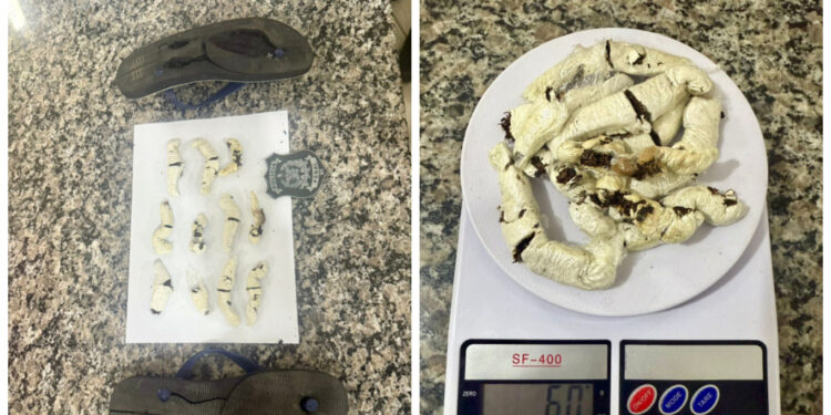 “Pro filho fumar”: Mulher é presa tentando entrar com fumo no Presídio de Jaraguá do Sul