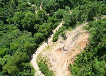 Drone e imagens de satélite auxiliam Fujama a flagrar desmatamento ilegal