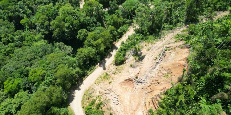 Drone e imagens de satélite auxiliam Fujama a flagrar desmatamento ilegal