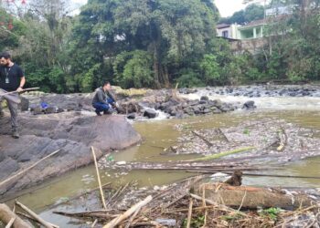 Fujama encontra indícios que podem levar à origem da mortandade de peixes