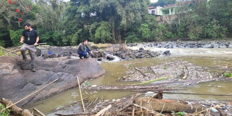 Fujama encontra indícios que podem levar à origem da mortandade de peixes