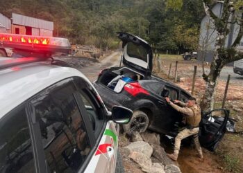 Motorista foge da polícia por cerca de 20 quilômetros e bate carro na Rodovia do Arroz