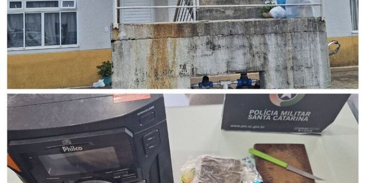 Mais de 250 gramas de maconha é apreendida após ocorrência em Guaramirim