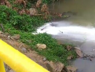 [Vídeo] Fujama identifica tinta no Rio Jaraguá, mas não localiza a origem