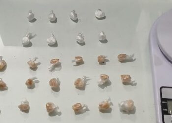 Homem é preso por tráfico de drogas em Guaramirim