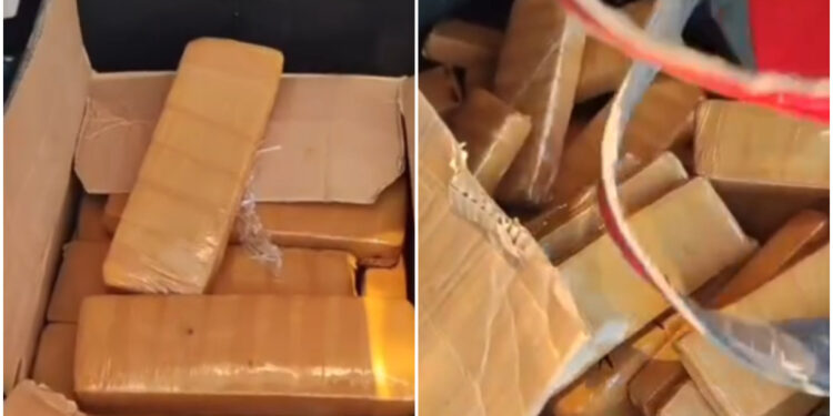 [Vídeo] Casal é preso em Corupá com 40 kg de maconha trazida do Paraguai