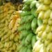 Vereadores de Guaramirim aprovam Moção de Repúdio contra importação de banana do Equador