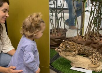 Fujama 20 anos: programação especial de aniversário terá várias ações