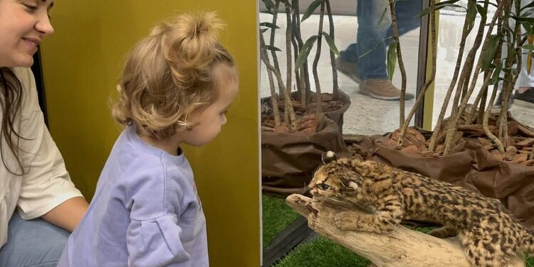 Fujama 20 anos: programação especial de aniversário terá várias ações