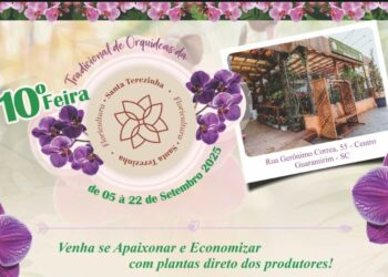 Floricultura Santa Terezinha realiza 10ª Feira de Orquídeas em Guaramirim