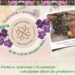 Floricultura Santa Terezinha realiza 10ª Feira de Orquídeas em Guaramirim